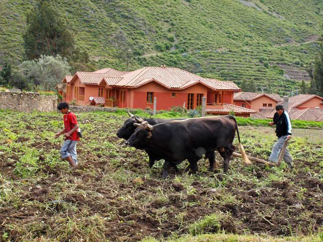 Перу - страна с наибольшим количеством засад