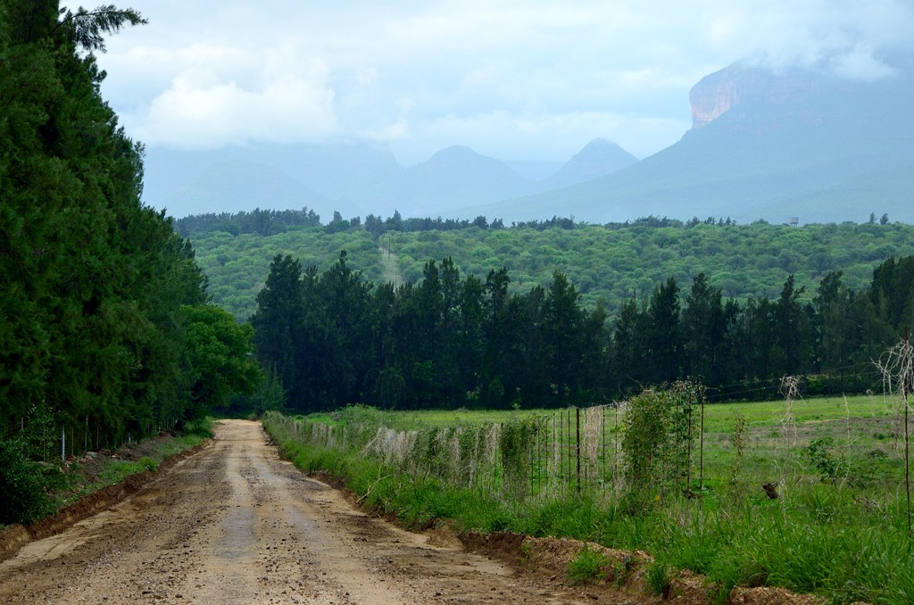 Южноафриканское сафари - 2013