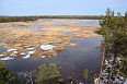 Вид на болото и озеро Селиярв со смотровой вышки