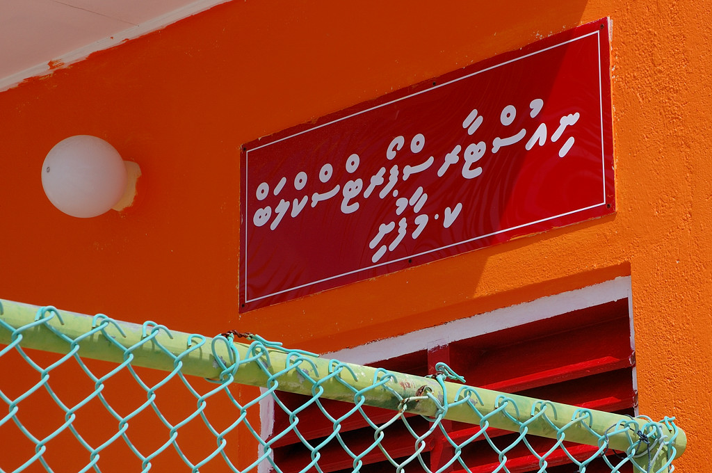 "Акулинг" на Мальдивах и "сайтсиинг" на Шри-Ланке
