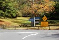 Новозеландская осень в парке Wai-O-Tapu