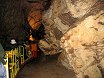 Словения. Пещера Постойнска Яма