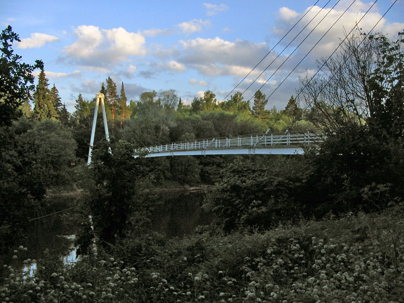 Сигулда. Пешеходный мост через Гаую (посреди леса)