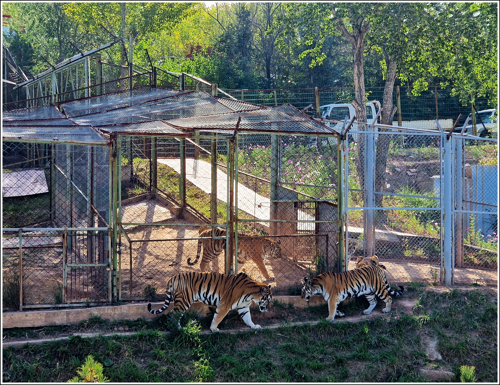 Китай-2025. От Гуанчжоу до Тибета