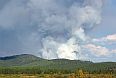 Forest fire in Chita oblast